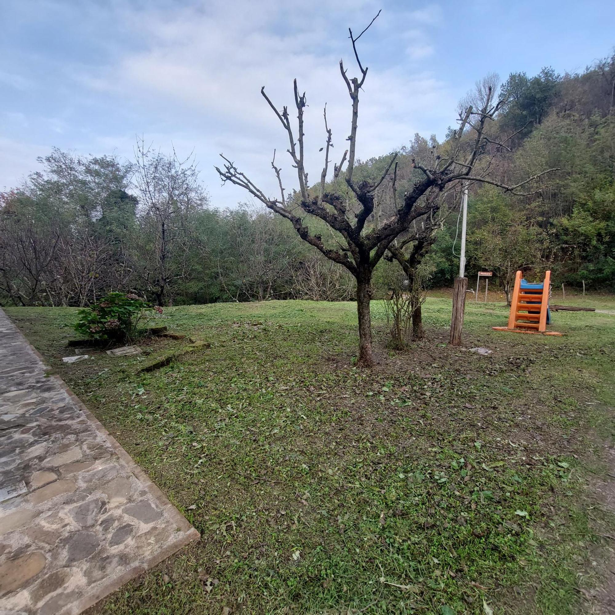 VadoBorgo Pizzicare住宿加早餐旅馆 外观 照片